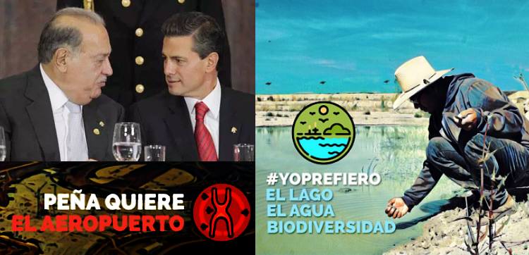 Lanzan en redes campaña #YoPrefieroElLago para impedir ecocidio del NAIM en el Lago de Texcoco